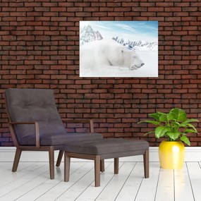 Tablou pe sticlă - Urs polar (70x50 cm)