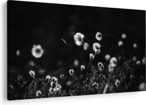 Tablou - Pajiște cu iarbă de cozonac N⁰1 (90x60 cm)