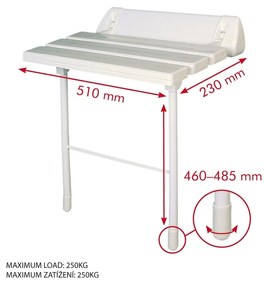 SAPHO A0020301 Scaun pliabil pentru cabine de dușcu suport, alb