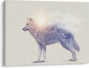 Tablou - Lupul arctic oglindit în peisaj sălbatic (70x50 cm)