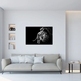 Tablou - Leu, alb și negru (90x60 cm)