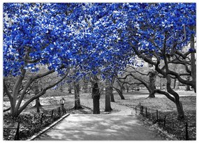 Tablou pe sticlă - Copaci albaștri Central Park, New York (70x50 cm)