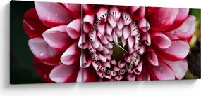 Tablou cu dalie roz (cu ceas) (90x30 cm)
