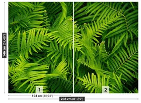 Fototapet Green Fern