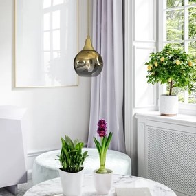 Lustră pe cablu MONTE 1xE27/60W/230V d. 15 cm aurie