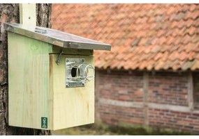 Căsuță pentru păsări din lemn – Esschert Design