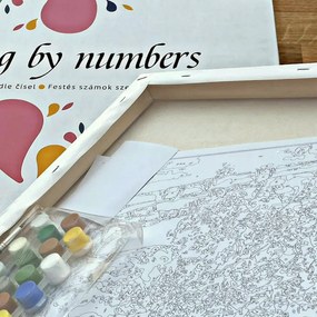Pictura pe numere cu un cadru "Leu colorat" 50x40 cm