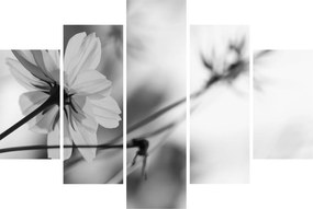 Tablou - Flori alb-negru (150x105 cm)