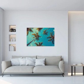 Tablou - Palmieri înalți (90x60 cm)