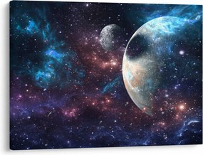 Tablou cu cosmos (70x50 cm)