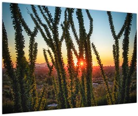 Tablou - Plante (90x60 cm)