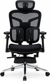 DeluxStar T9 FOAM Premium – Scaun ergonomic, Cotiere 6D, Suport Lombar Adaptiv, Spătar Reglabil pe Înaltime în 5 pozitii, Mecanism Înclinare/Blocare, Șezut buretat, Negru