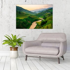 Tablou - Terase de orez II. (90x60 cm)