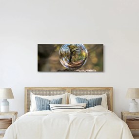Tablou - Reflecție intr-o sferă transparentă (120x50 cm)