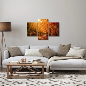 Tablou cu pădurea în toamnă (90x60 cm)