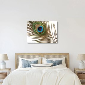 Tablou cu pene de păun (70x50 cm)