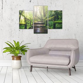 Tablou - trepte din lemn în pădure (90x60 cm)