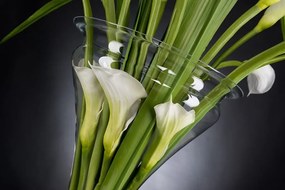 Aranjament floral elegant din cale albe, ETERNITY VANESSA 1141492.95