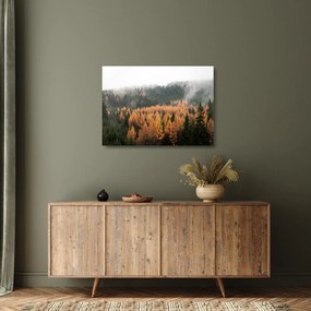Tablou pe sticlă - Pădure toamna (70x50 cm)
