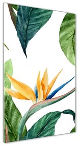 Tablou sticlă acrilică Strelitzia reginae