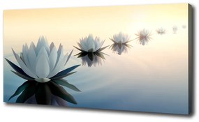 Tablouri tipărite pe pânză Flori de lotus