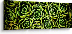 Tablou cu flori de piatră (cu ceas) (90x30 cm)