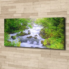 Imprimare tablou canvas Râu de munte