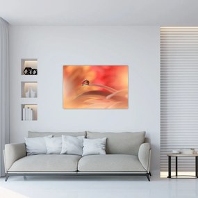 Tablou picăturii de rouă pe floare (90x60 cm)