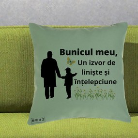 Cadou pentru Bunic - Perna Personalizata Bunicul Meu Izvor de Liniste cu Fluture si Baietel, 40x40 cm, Verde, Husa Detasabila, Perna Inclusa, BEKZ®
