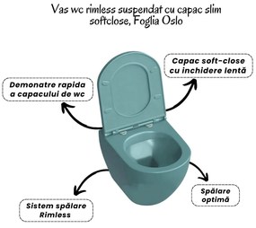 Set vas wc suspendat turcoaz, clapeta negru mat,rezervor wc incastrat,set fixare,antifonare