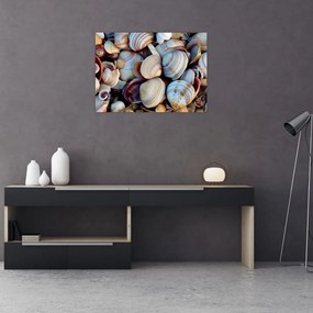 tablou cu scoici (70x50 cm)