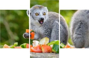 Tablou cu lemur (90x60 cm)