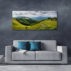 Tablou pe panza canvas Mountain Meadow Peisaj Verde Gri