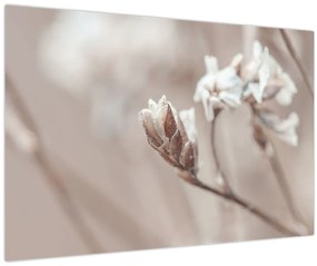 Tablou - Detaliu ramură (90x60 cm)
