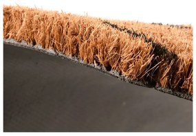 Covoraș de intrare din fibre de nucă de cocos 41x75 cm – Esschert Design