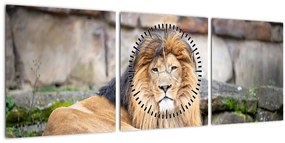 Tablou cu leu (cu ceas) (90x30 cm)