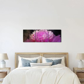 Tablou cu floare în fum roz (cu ceas) (90x30 cm)