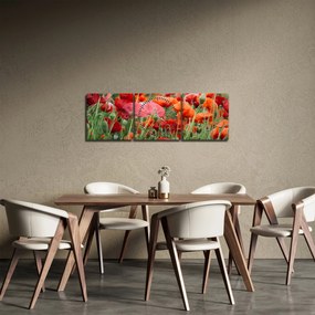 Tablou din câmp cu maci (cu ceas) (90x30 cm)