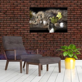 Tablou - Pisica mincinoasă (90x60 cm)