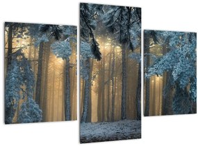 Tablou cu pădure înzăpezită (90x60 cm)