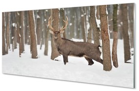 Tablouri pe sticlă pădure de iarnă Deer