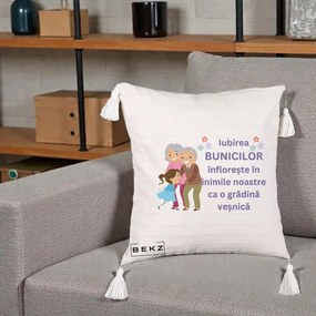 Cadou pentru Bunici - Perna Personalizata Bunicii Iubirea Infloreste Bunici cu Nepoata Colorat, 40x40 cm, Bej cu Franjuri, Husa Detasabila, Perna Inclusa, BEKZ®