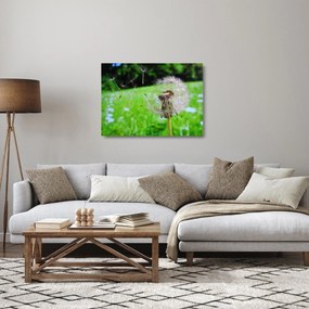 Tablou pe sticlă cu păpădie (70x50 cm)