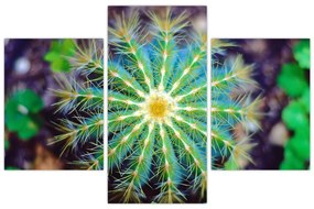 Tablou cu cactus (90x60 cm)