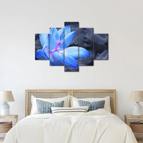 Tablou florilor în detailu (150x105 cm)