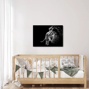 Tablou - Leu (70x50 cm)