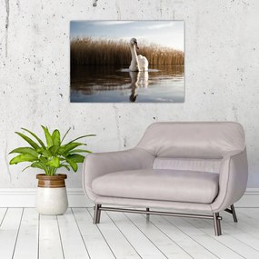 Tablou pe sticlă cu lebăda (70x50 cm)