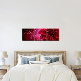 Tablou cu floare roșie (cu ceas) (90x30 cm)