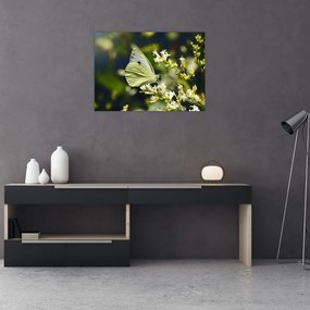 Tablou pe sticlă cu fluture (70x50 cm)