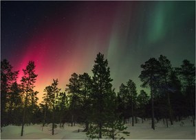 Tablou cu Northern Lights (70x50 cm)